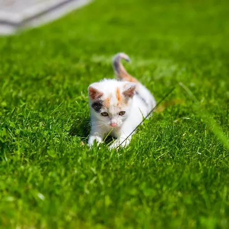 Cudne Manowce Bed and Breakfast