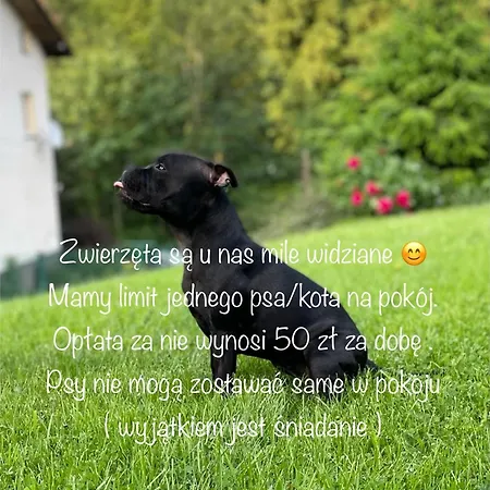 Cudne Manowce Bed & Breakfast Wisła