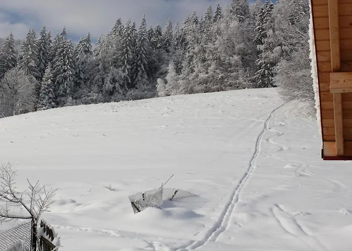 Cudne Manowce Bed & Breakfast 3*