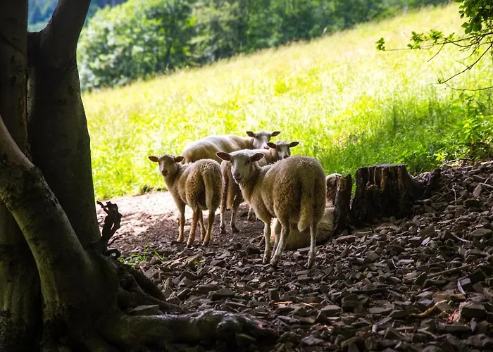 Alojamento de Acomodação e Pequeno-almoço Cudne Manowce