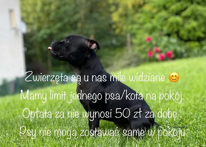 Cudne Manowce Bed & Breakfast Wisla